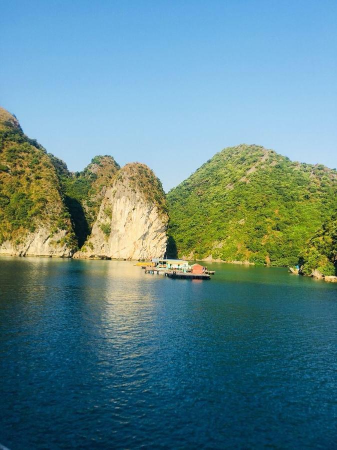 فندق Flamingo Luxury Cruises ها لونغ المظهر الخارجي الصورة